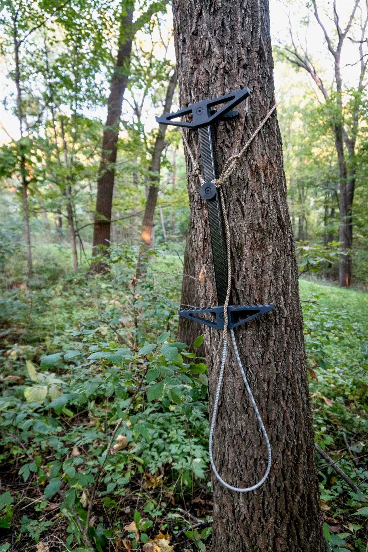 Backcountry Hunting Gear photo