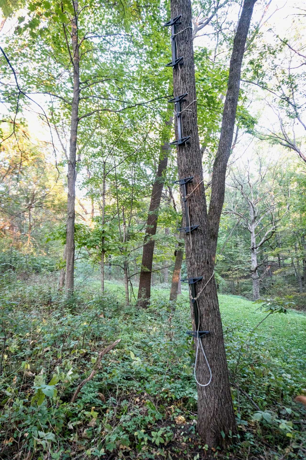 Backcountry Hunting Gear photo