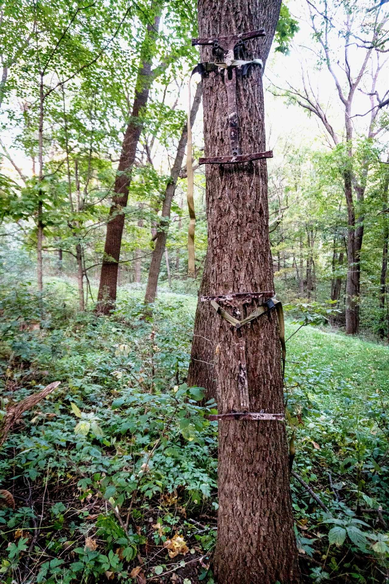 Backcountry Hunting Gear photo