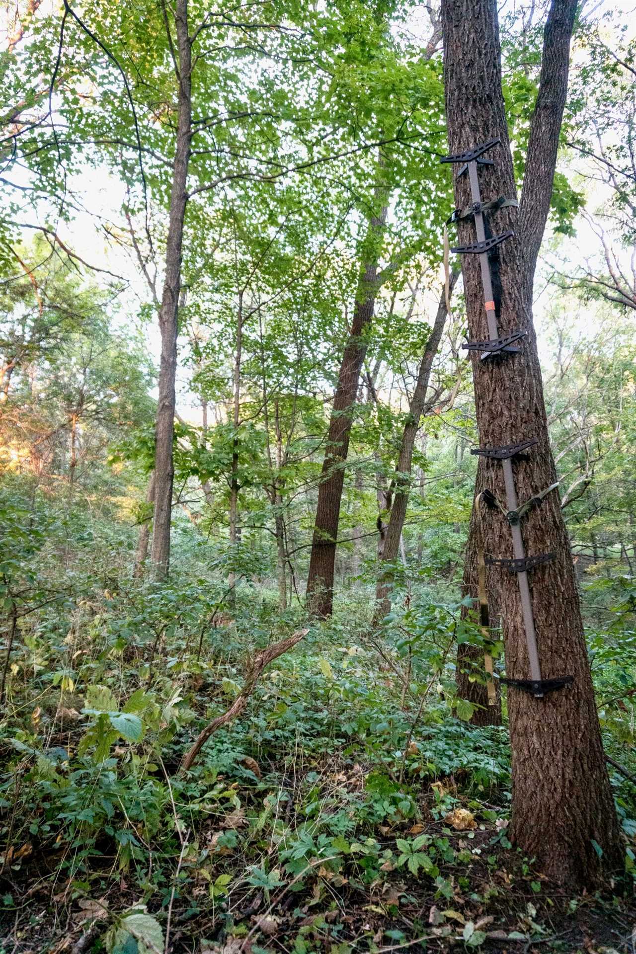 Backcountry Hunting Gear photo