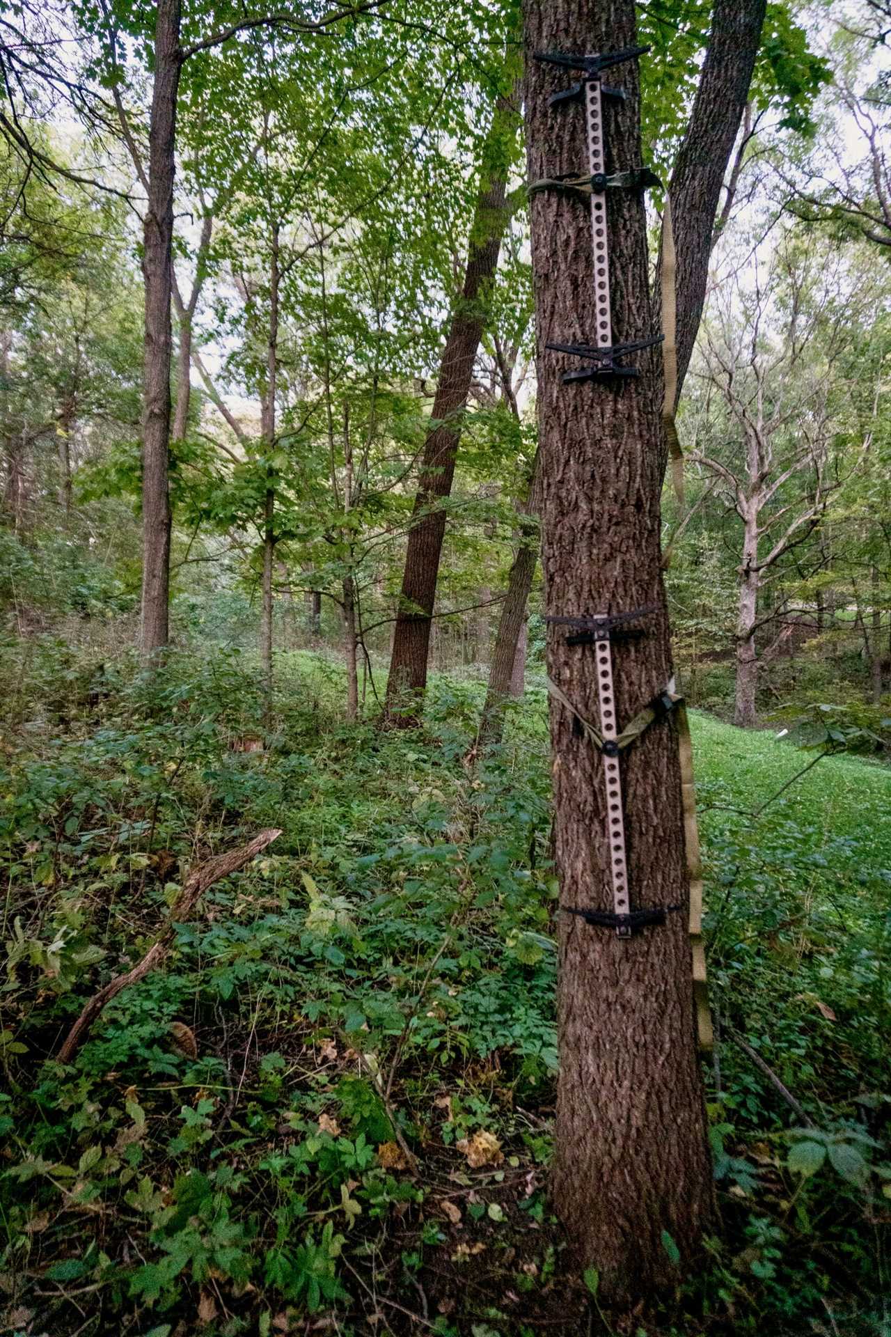 Backcountry Hunting Gear photo