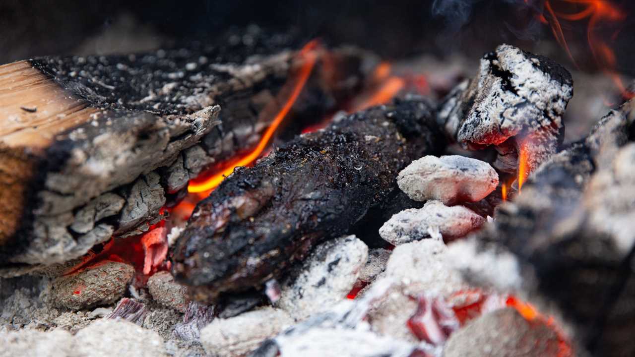 cooking venison on open fire