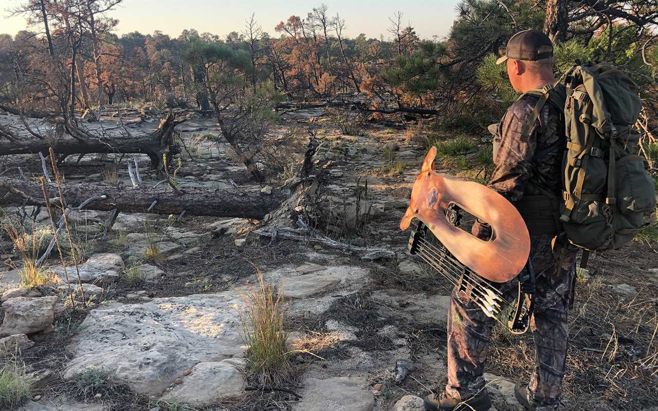 Hunter carries elk decoy.