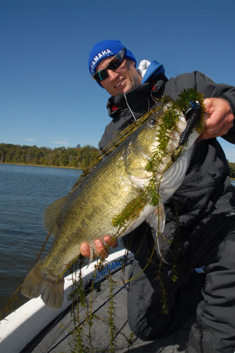 largemouth vs smallmouth, driscoll with largemouth bass