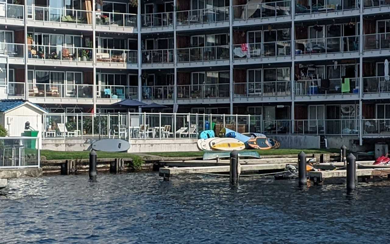 My neighborsâ paddleboards, baking in the early morning eastern exposure of Lake Washington. 