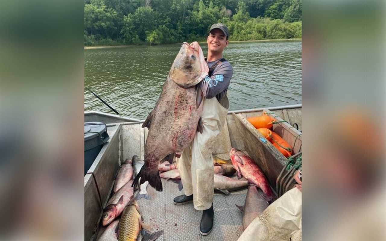 commercial fisherman giant illinois carp