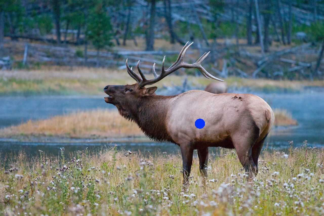 Elk Hunting photo