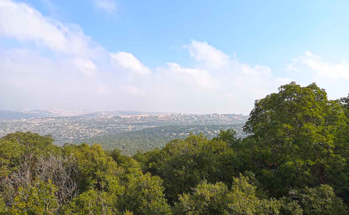 A view of the surrounding hills from Ajloun Soap House Trail (Jordan)