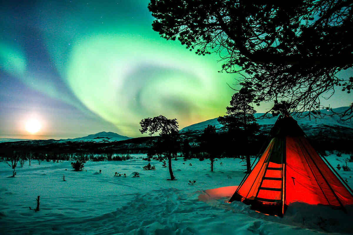 A tent pitched in the snow, under a tree, with the Northern Lights in the background