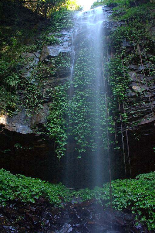 A misty waterfall dropping into a rainforest valley (Crystal Shower Falls)