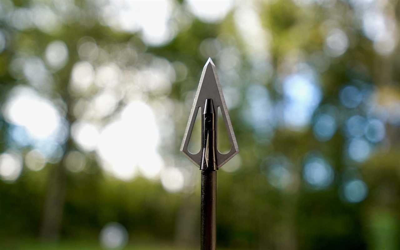 The Magnus Stinger is the best budget broadhead.