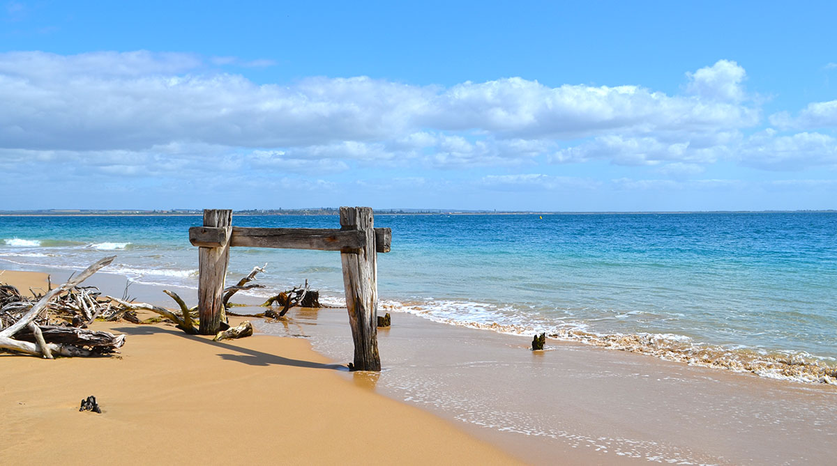 The remains of an old timber jetty