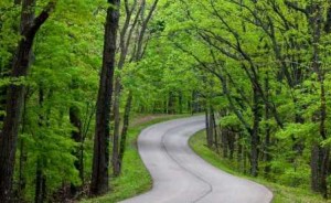 Brown County State Park