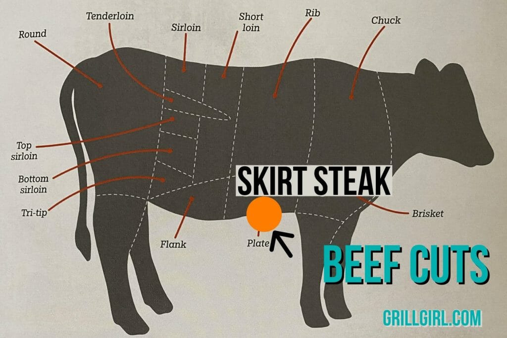 where does skirt steak come from on the cow