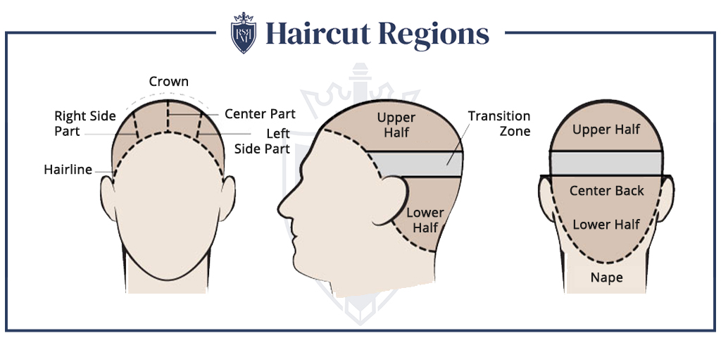 Infographic - Haircut Regions