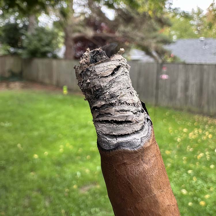 Royalty Cigar Burn Line in First Third