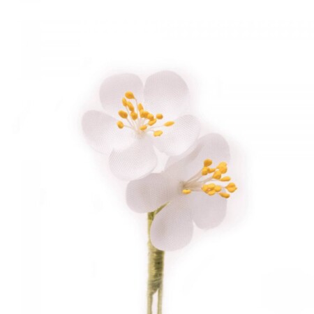 White Cherry Blossoms Boutonniere Lapel Flower Fort Belvedere