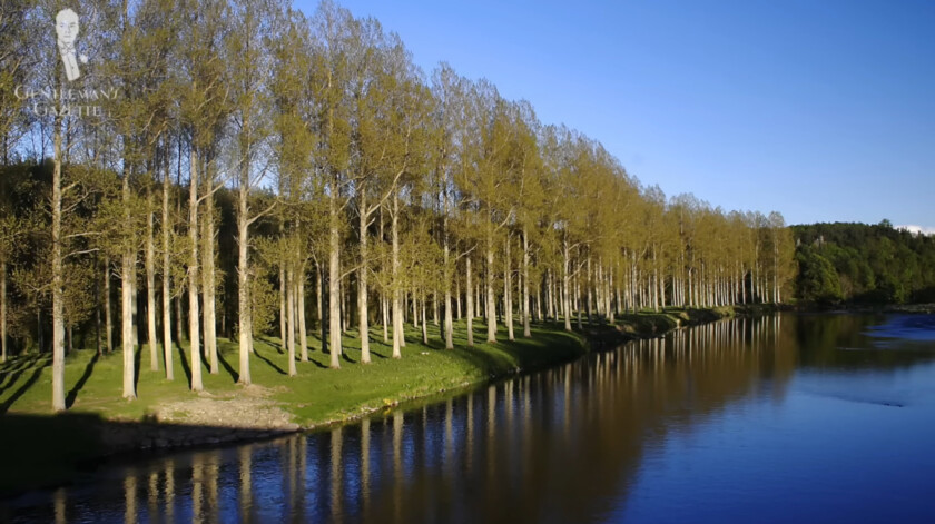 Photo of View of the River Tweed in Scotland