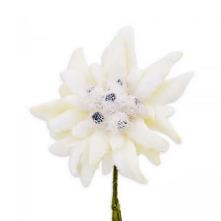 Velvet Edelweiss Boutonniere Buttonhole Flower Fort Belvedere