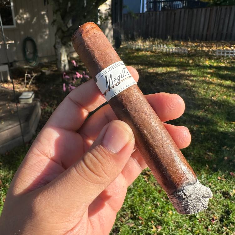 First Third Cigar Review Megilla Nicaraguan Cigar