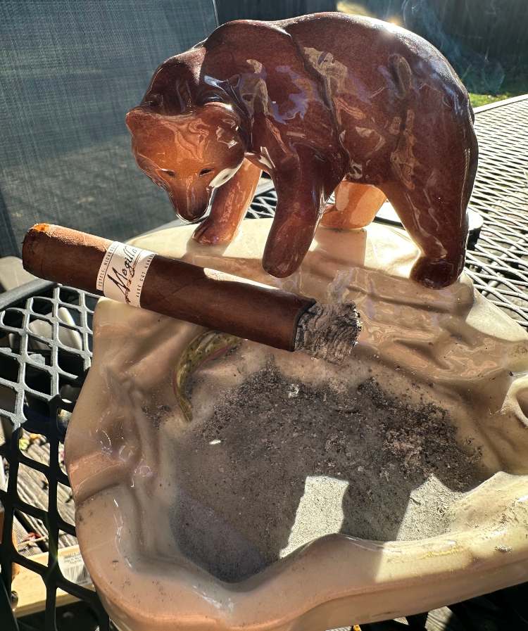 Megilla Cigar Review On Porcelain Ashtray