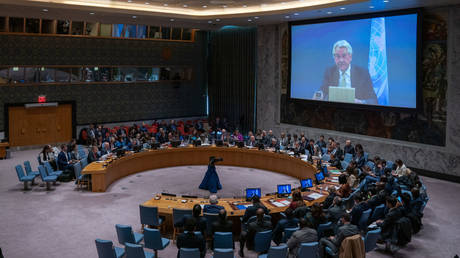 A UN Security Council meeting at the United Nations headquarters on November 29, 2023 in New York City