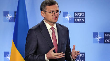 Ukrainian Minister for Foreign Affairs Dmitry Kuleba gives a press conference at NATO HQ in Brussels, on November 29, 2023.