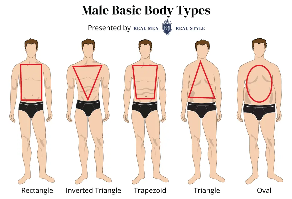 male body types