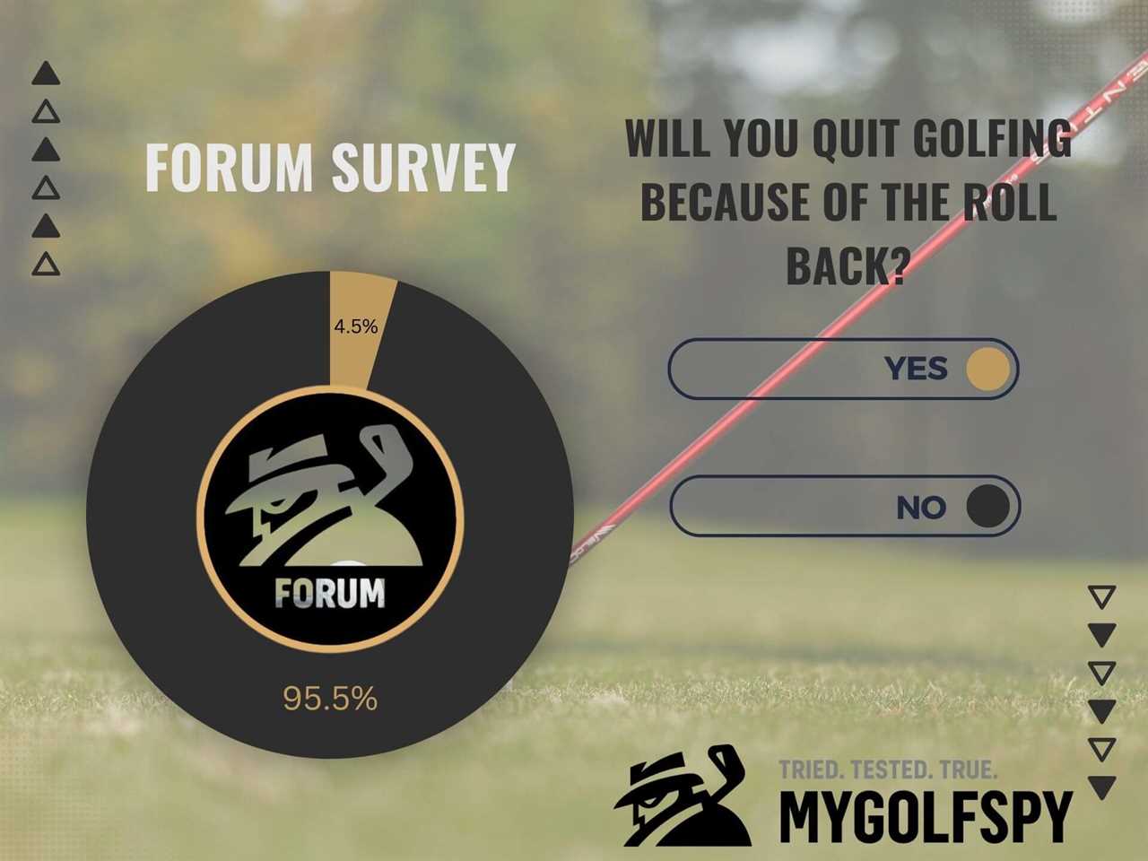 What the Forum is Saying About the Rollback
