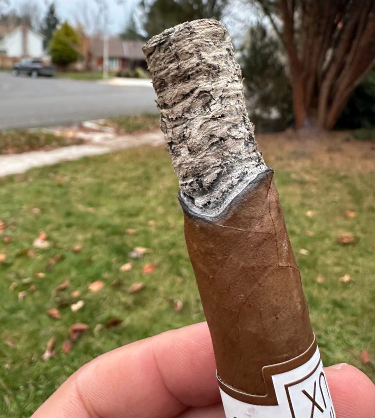 Smoking Cigar Review Luciano Cigars Fiat Lux Intuitions