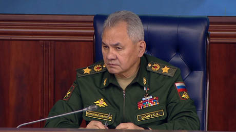 Russian Defence Minister Sergei Shoigu.