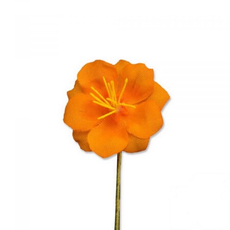 Orange Exotic Caribbean Boutonniere Buttonhole Flower Fort Belvedere