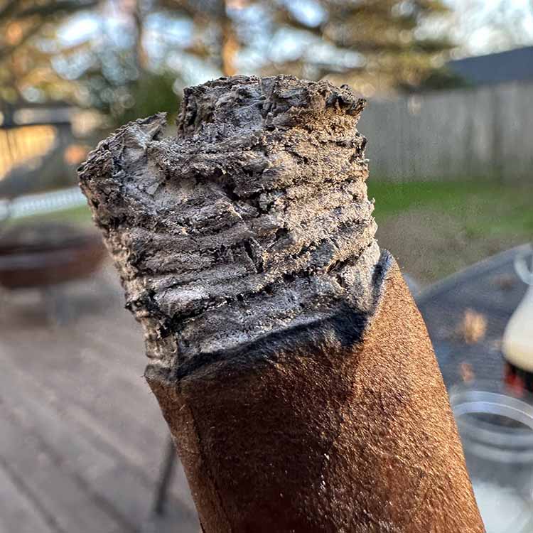 Burn Line Of All Saints St Francis Cigar