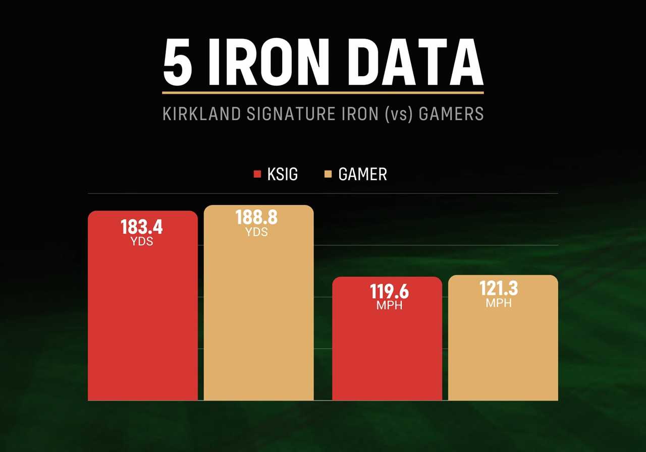 Kirkland Signature Iron review