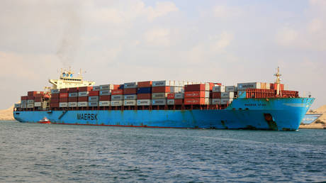 FILE PHOTO: A cargo ship crosses the Suez Canal in Ismailia, Egypt, on December 29, 2023