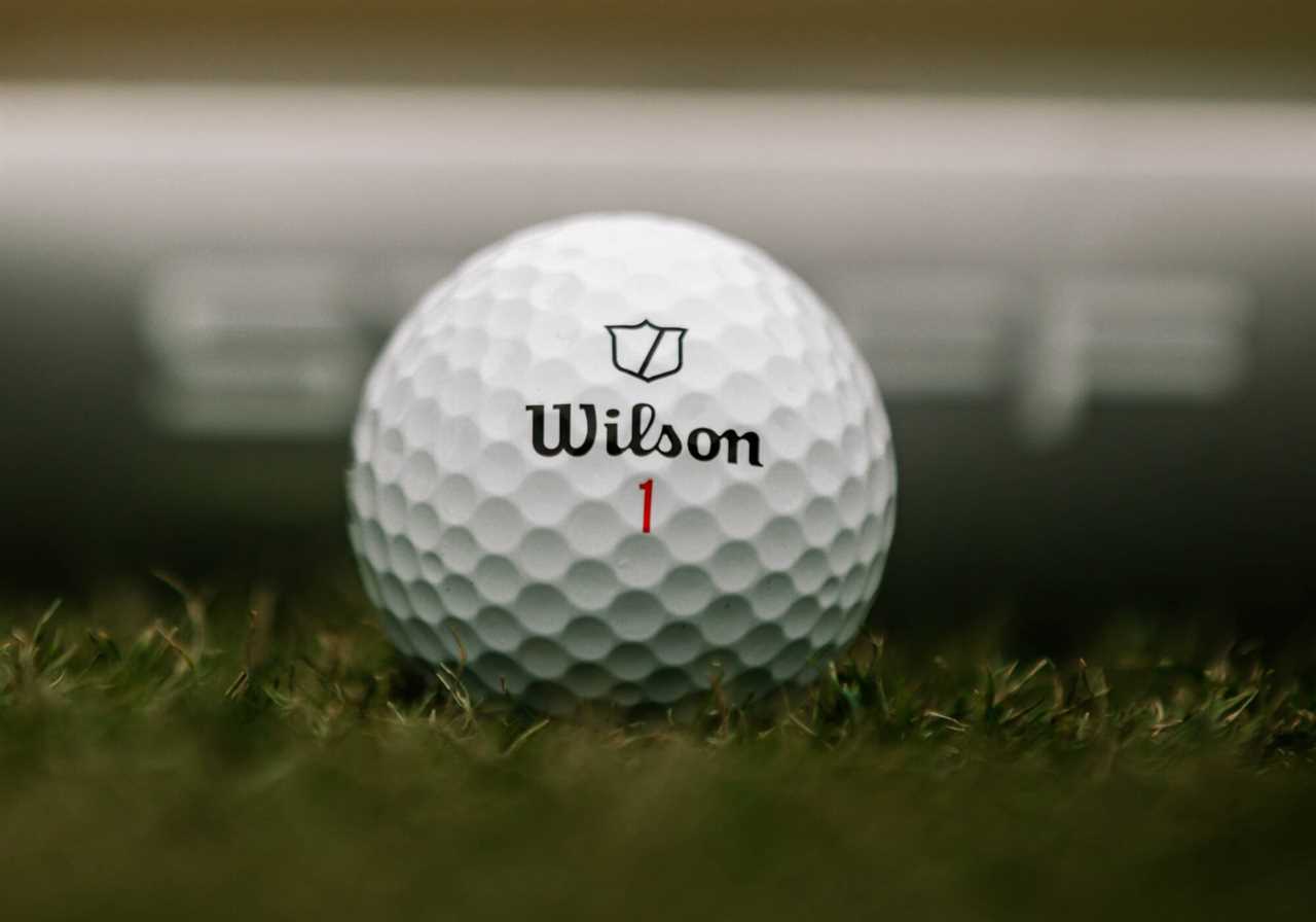 Wilson Staff Model golf ball.