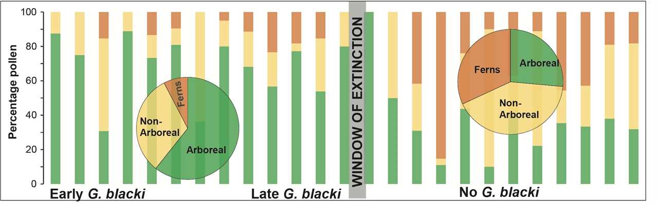 A graph showing more arboreal plants and fewer ferns before the window of extinction, and a more even spread of plants afterward