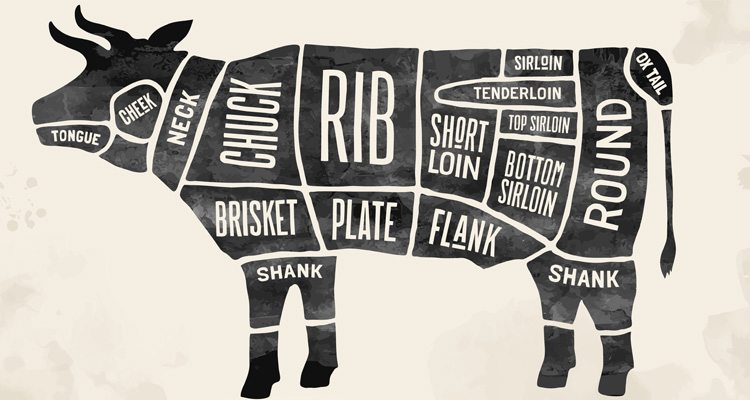 Cow diagram showing various cuts of beef