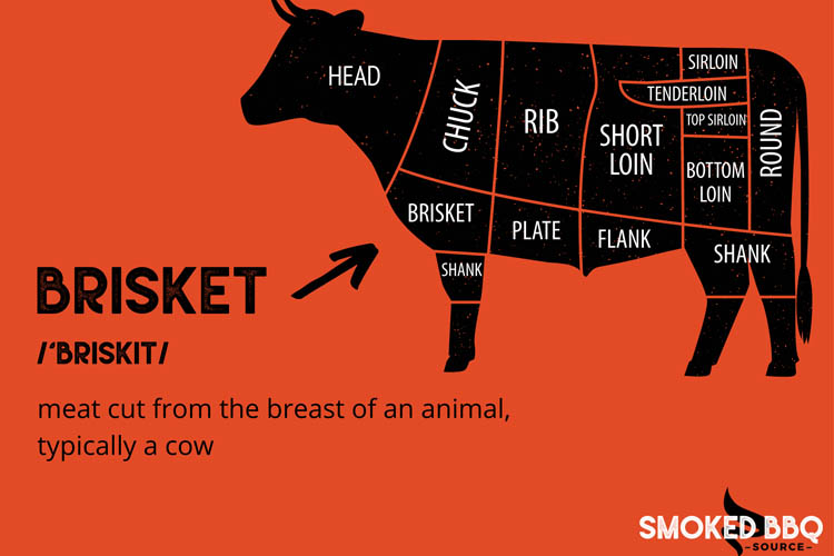 diagram of cow showing location of brisket cut