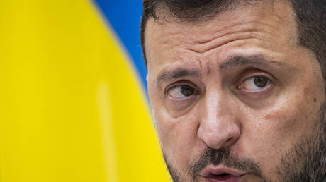 Ukrainian President Volodymyr Zelensky in Sweden on August 19, 2023.