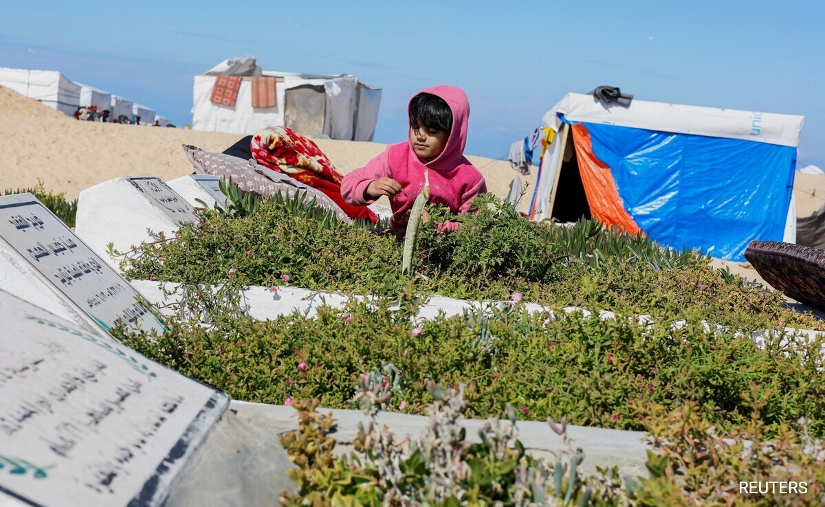 A displaced Palestinian girl, who fled her house due to Israeli strikes, arranges plants on a grave in a cemetery where she shelters.