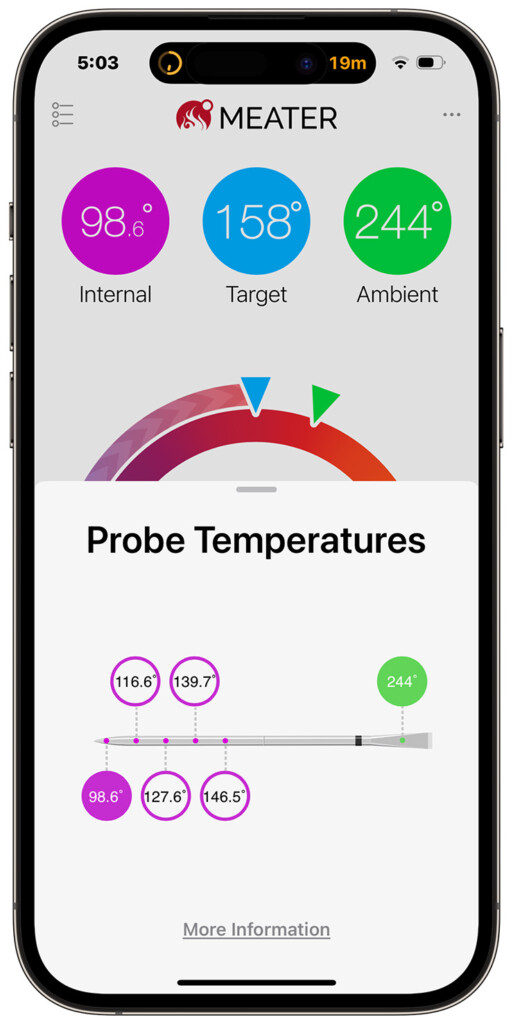 meater 2 plus app probe temperatures screen