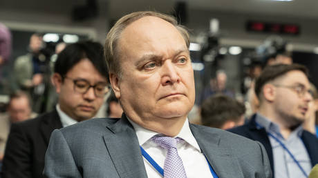 FILE PHOTO: Russian Ambassador to the US Anatoly Antonov.