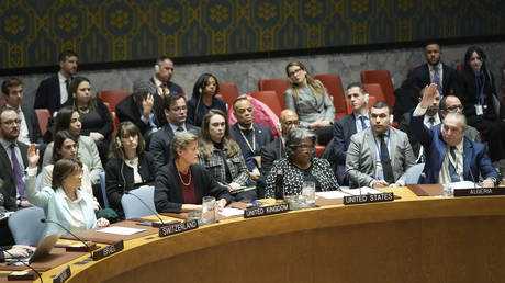 The UN Security Council votes on a ceasefire resolution for Gaza, February 20, 2024.