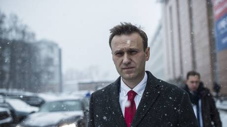 Alexey Navalny in Moscow, December 2017.