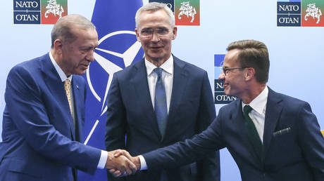 FILE PHOTO: Turkish President Recep Tayyip Erdogan (L) and Swedish PM Ulf Kristersson (R) ahead of a NATO summit in Vilnius, Lithuania, July 10, 2023.
