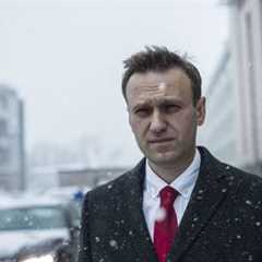 Navalny Laws