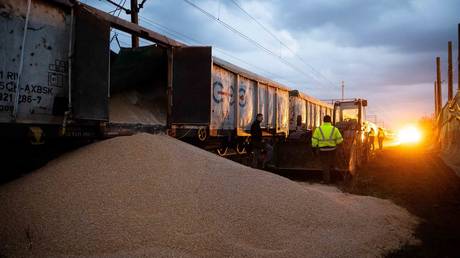 Police officers, customs officers and railway workers stand next to piles of corn lying on the ground near train cars in the village of Kotomierz, Kuyavian-Pomeranian region, Poland on February 25, 2024.