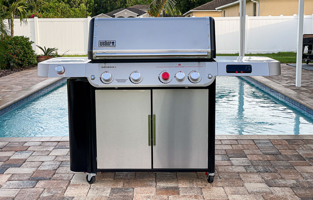 Weber Genesis Review