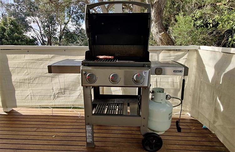 weber spirit e310